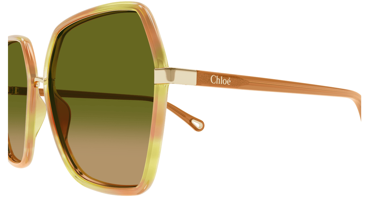 Chloé CH0262S Havana/Green 889652514994