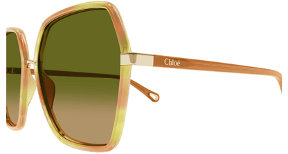 Chloé CH0262S Havana/Green 889652514994