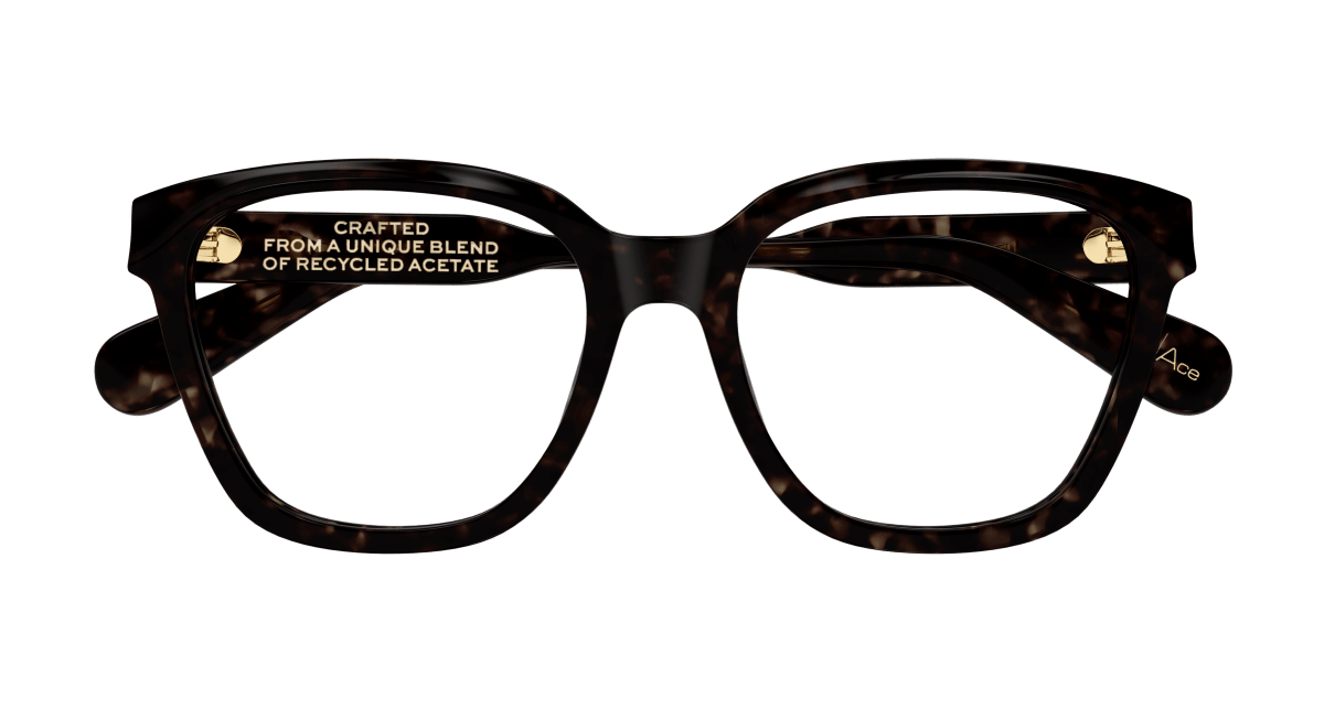 Chloe CH0265O Eyeglasses 889652510361