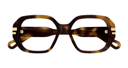 Chloé CH0266O Havana 889652515014