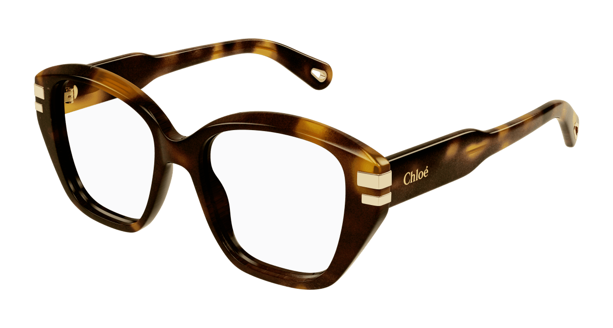 Chloé CH0267O Havana 889652515069