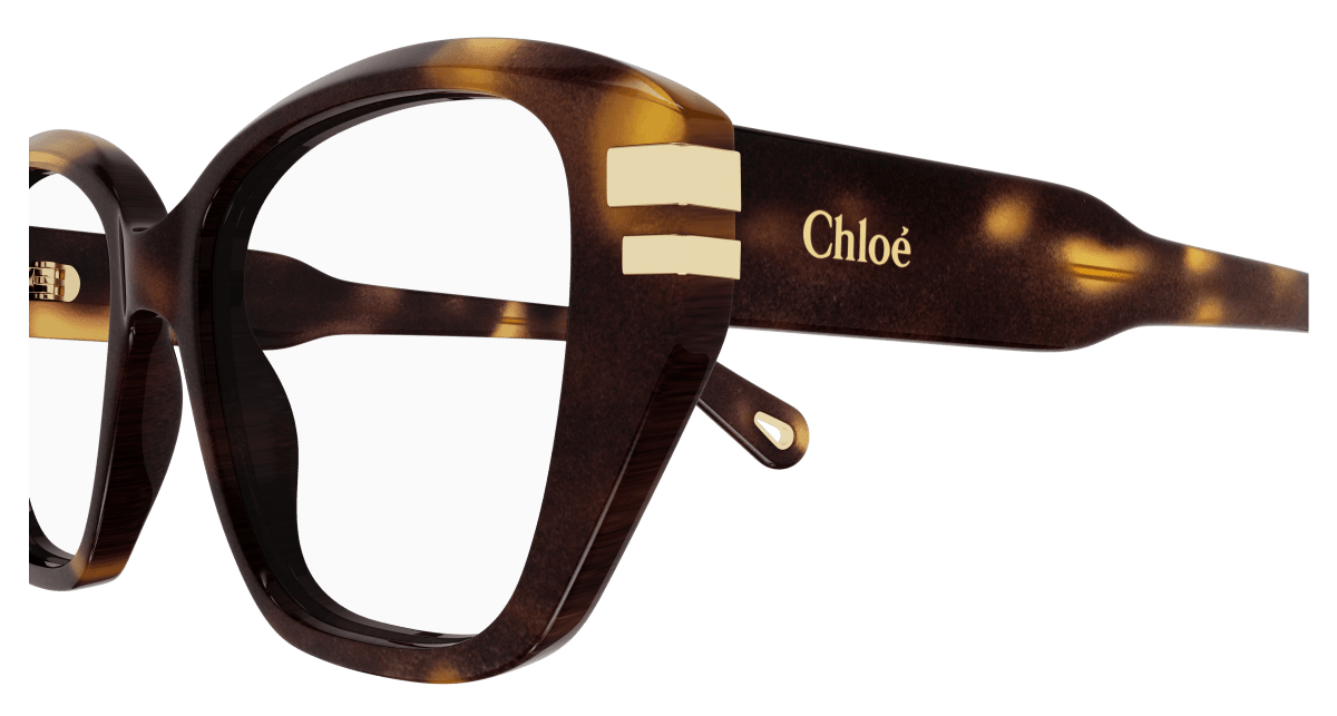 Chloé CH0267O Havana 889652515069