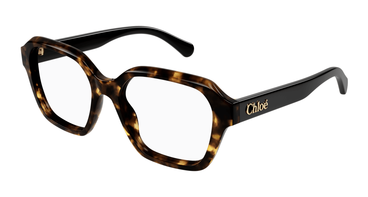 Chloé CH0272O Havana, 53mm 889652515335