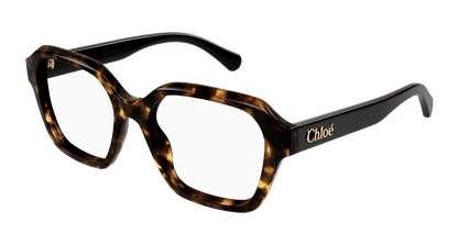 Chloé CH0272O Havana, 53mm 889652515335