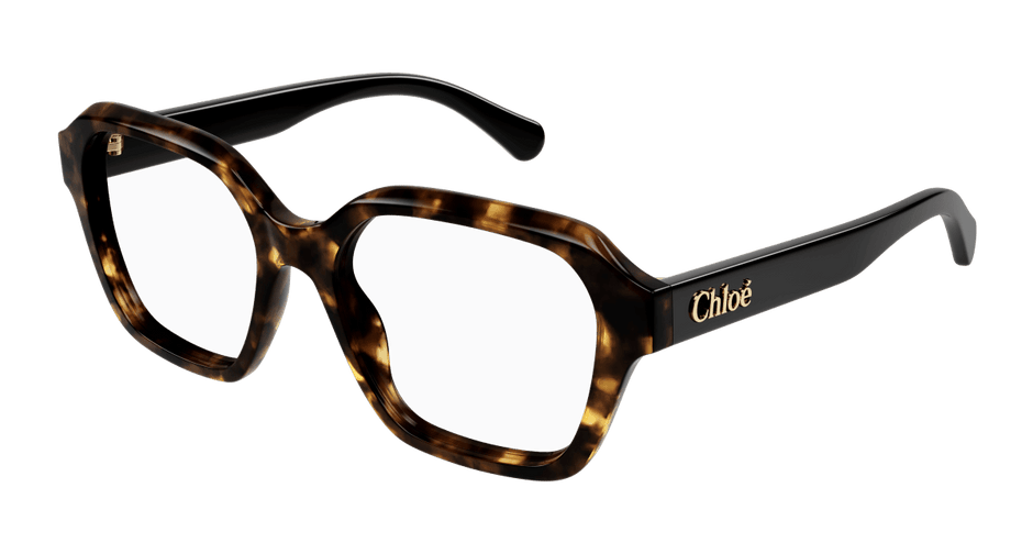 Chloé CH0272O Havana, 53mm 889652515335