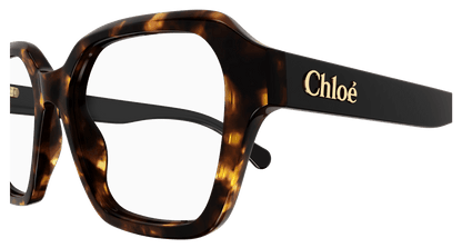 Chloé CH0272O Havana, 53mm 889652515335