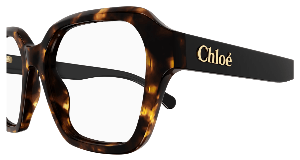 Chloé CH0272O Havana, 53mm 889652515335