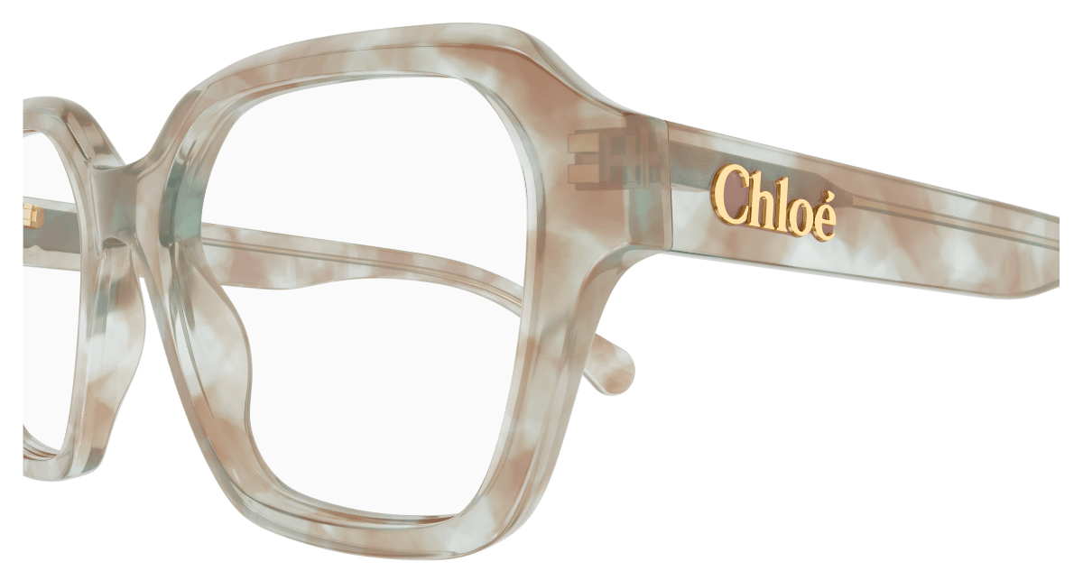 Chloé CH0272O Havana, 53mm 889652601540
