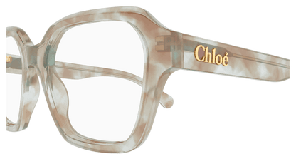 Chloé CH0272O Havana, 53mm 889652601540