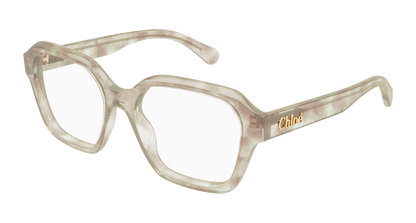 Chloé CH0272O Havana, 53mm 889652601540