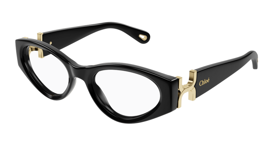 Chloé CH0273O Black 889652515373