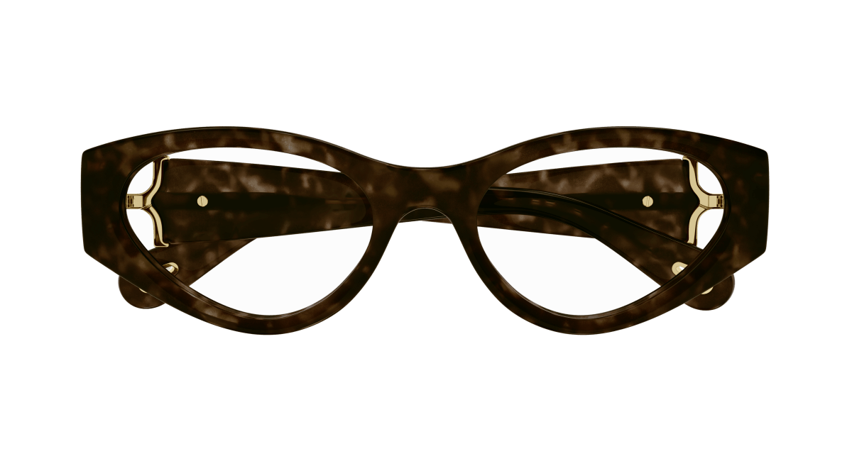 Chloe CH0273O Eyeglasses 889652515380