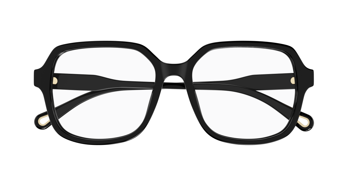 Chloe CH0277OA Eyeglasses 889652515533