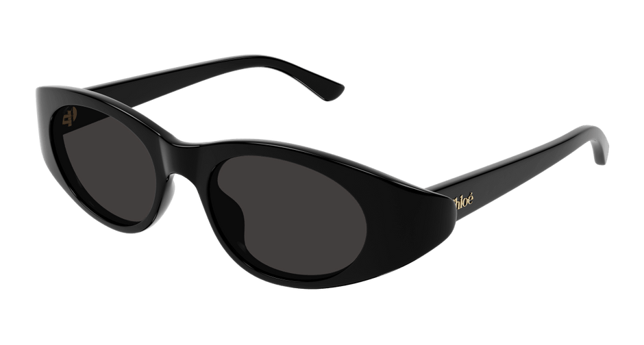 Chloé CH0279S Black/Grey 889652523408