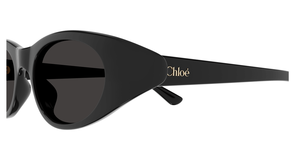 Chloé CH0279S Black/Grey 889652523408