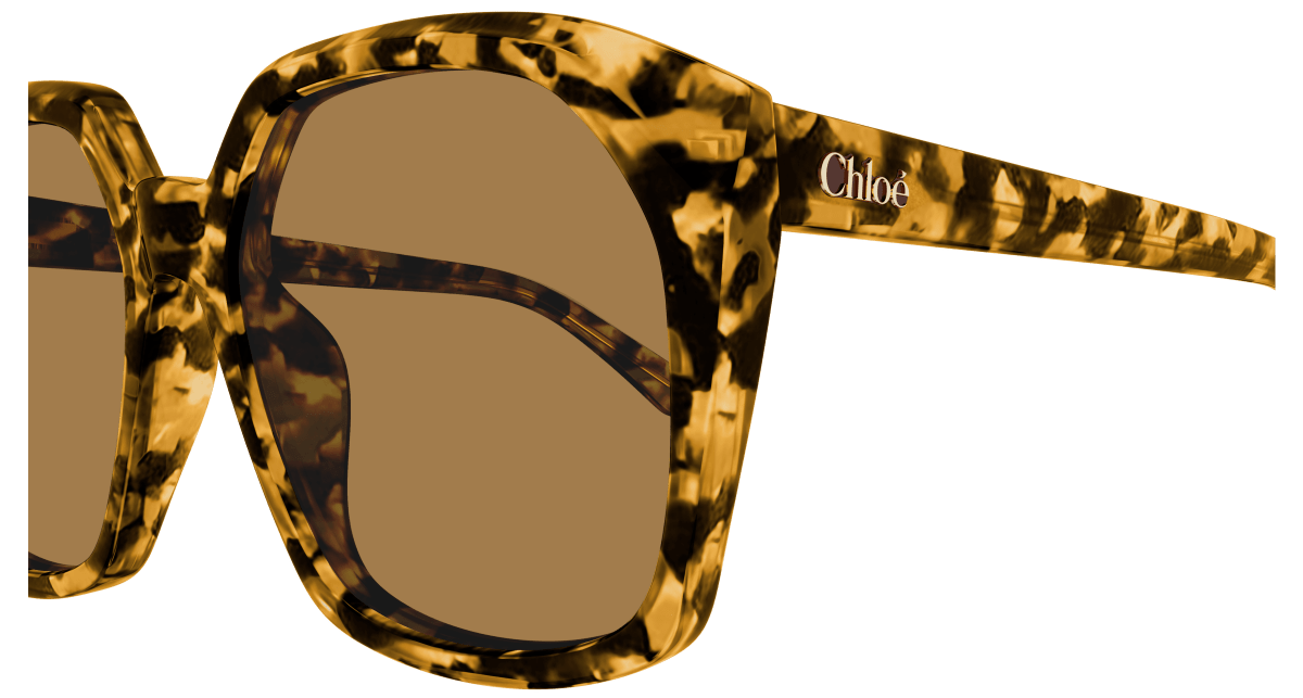 Chloé CH0280S Havana/Brown 889652523491