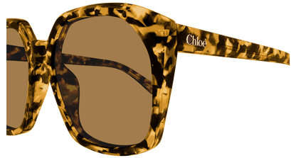 Chloé CH0280S Havana/Brown 889652523491