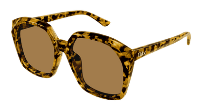 Chloé CH0280S Havana/Brown 889652523491