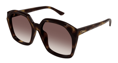 Chloé CH0280S Havana/Red 889652523484