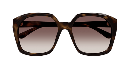 Chloé CH0280S Havana/Red 889652523484