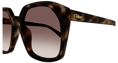 Chloé CH0280S Havana/Red 889652523484