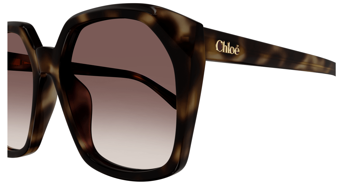 Chloé CH0280S Havana/Red 889652523484