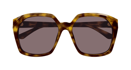 Chloé CH0280S Havana/Violet 889652523460
