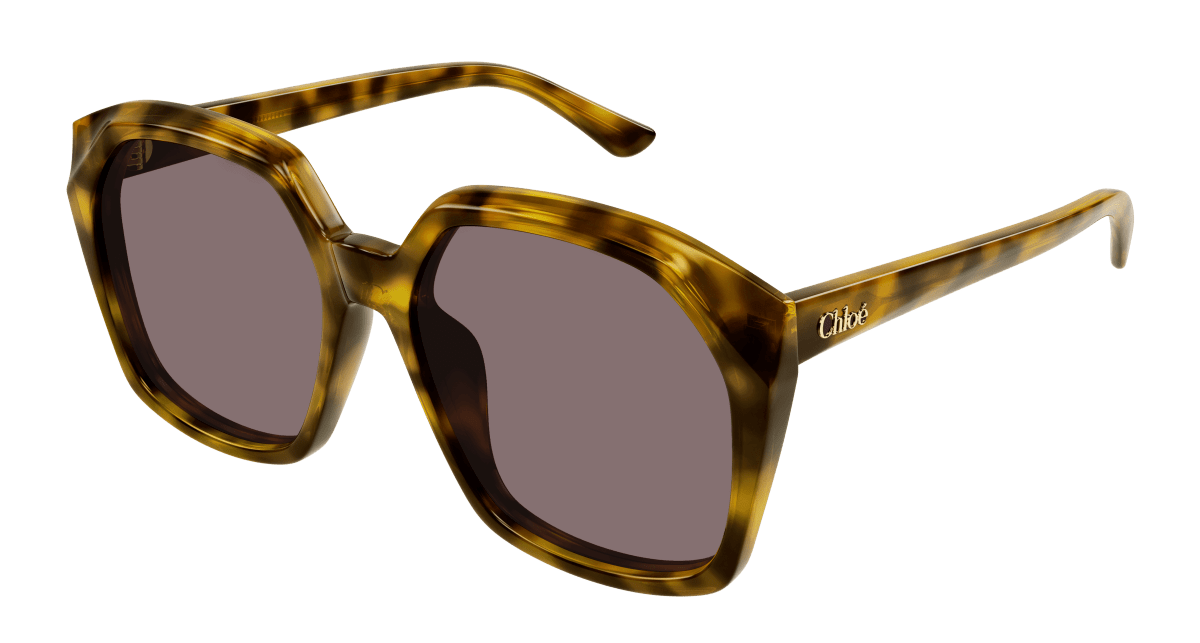 Chloé CH0280S Havana/Violet 889652523460