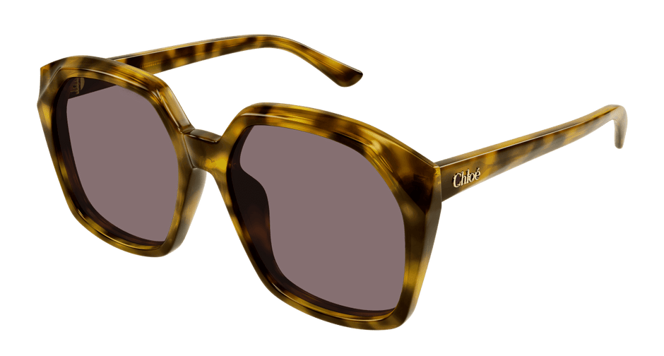Chloé CH0280S Havana/Violet 889652523460
