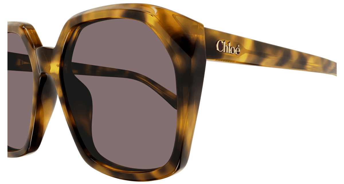 Chloé CH0280S Havana/Violet 889652523460