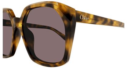 Chloé CH0280S Havana/Violet 889652523460