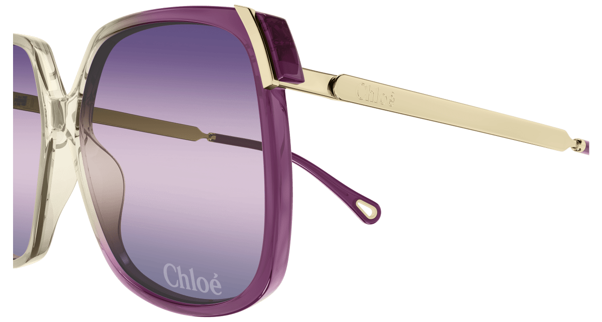 Chloé CH0286S Burgundy/Violet 889652569147