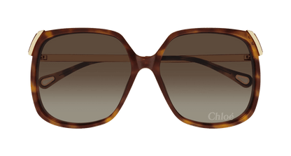 Chloé CH0286S Havana/Brown 889652548449