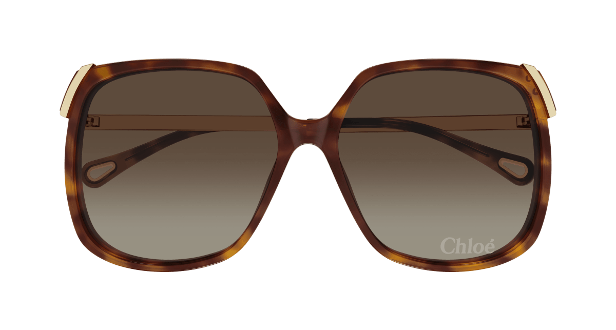 Chloé CH0286S Havana/Brown 889652548449