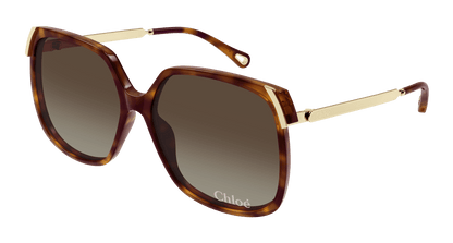 Chloé CH0286S Havana/Brown 889652548449