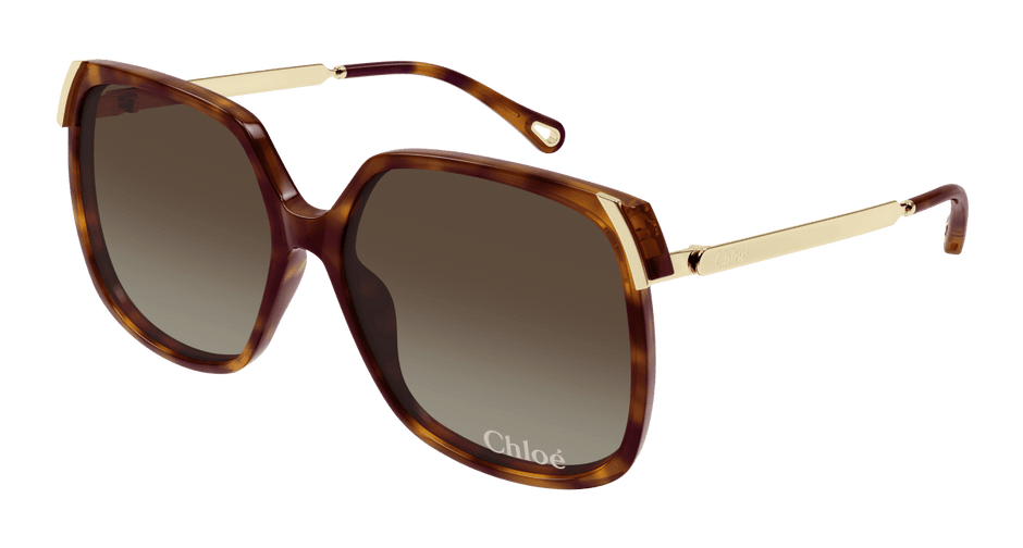 Chloé CH0286S Havana/Brown 889652548449