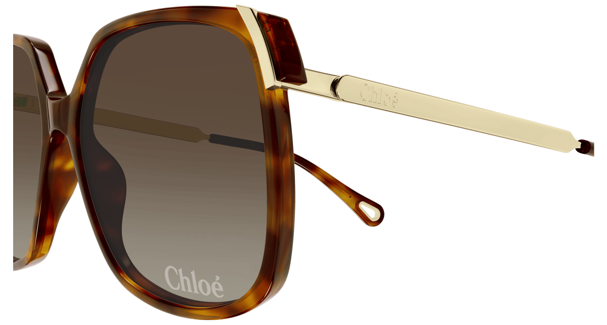 Chloé CH0286S Havana/Brown 889652548449