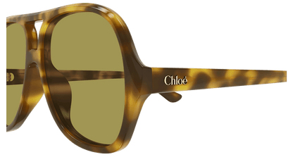 Chloé CH0289S Havana/Green 889652543574