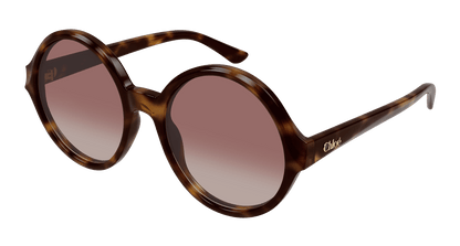 Chloé CH0290S Havana/Red 889652543611