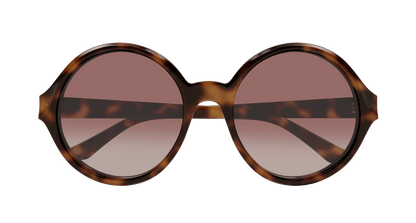 Chloé CH0290S Havana/Red 889652543611