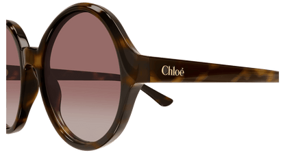 Chloé CH0290S Havana/Red 889652543611