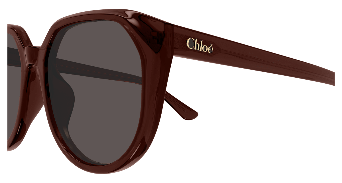 Chloé CH0291SK Brown 889652543642