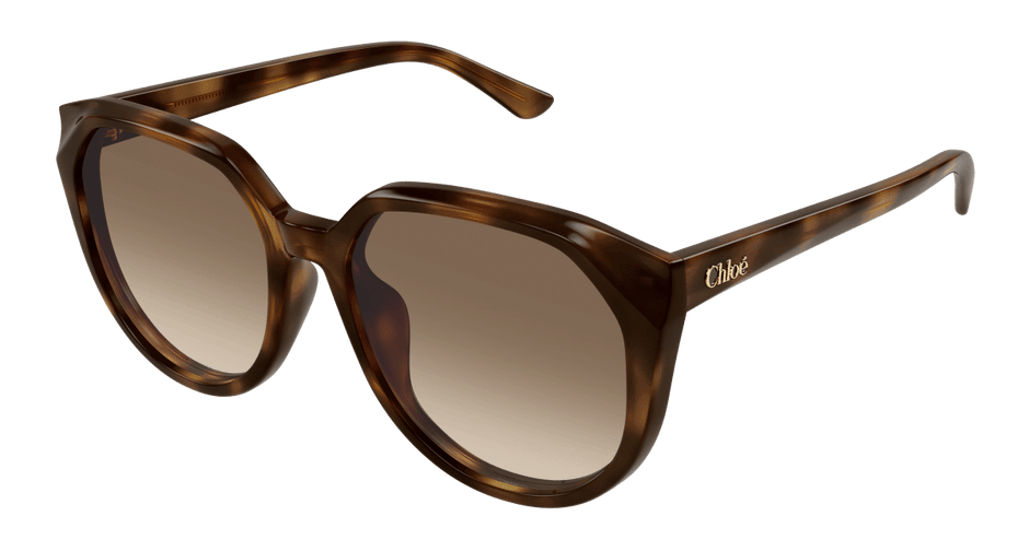 Chloé CH0291SK Havana/Brown 889652543659