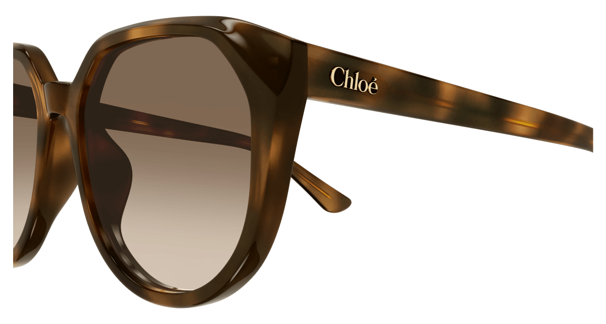 Chloé CH0291SK Havana/Brown 889652543659