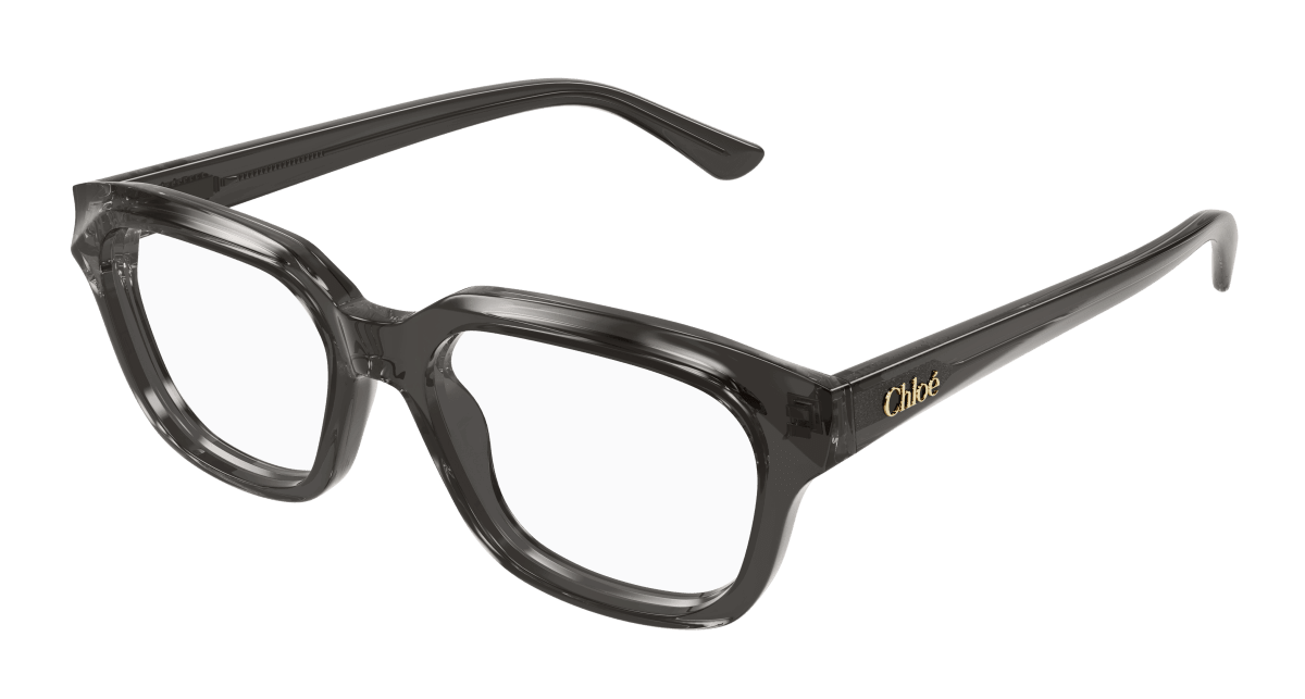 Chloé CH0292O Grey, 51mm 889652543673