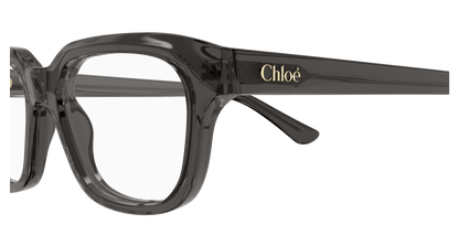 Chloé CH0292O Grey, 54mm 889652543727