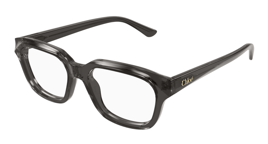 Chloé CH0292O Grey, 54mm 889652543727