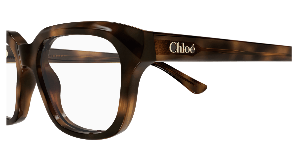 Chloé CH0292O Havana, 54mm 889652543734
