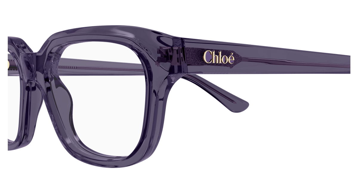 Chloé CH0292O Violet, 54mm 889652543758