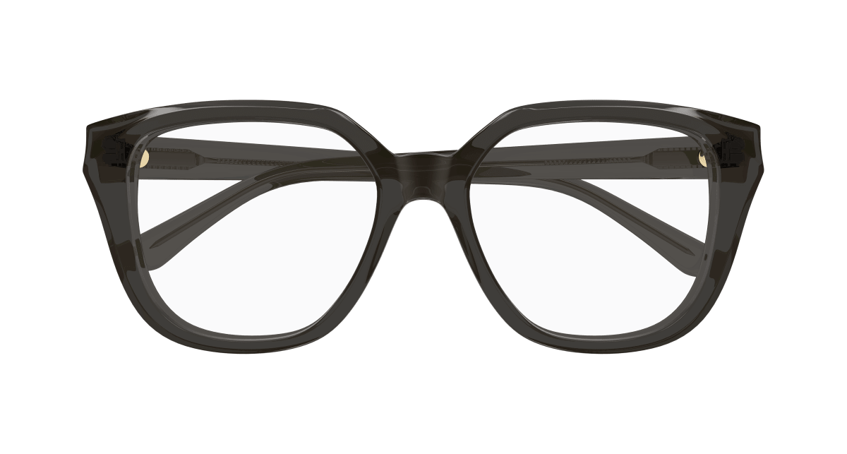 Chloé CH0293O Grey 889652543772